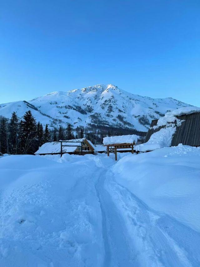 雪落人間，把世界裹成純白童話