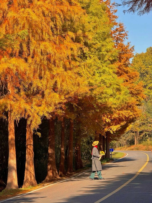 南京99%的人都不知道這裡， 出片還人少