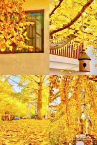 廣東秋日限定深秋必去南雄秘境