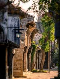 在鹽官,採集秋日金箔紙