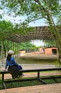 廣州citywalk覓一片科幻末日感暮光森林