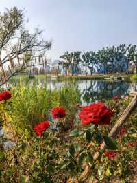 魔都植物園必看攻略櫻花季省時省力玩法