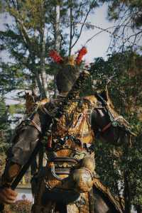 錯問今夕是何年