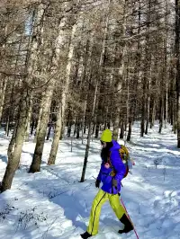 樺皮嶺已回！遊玩攻略已發！評論區有問必答