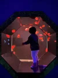 天津海洋極地公園｜必看四大海洋秀