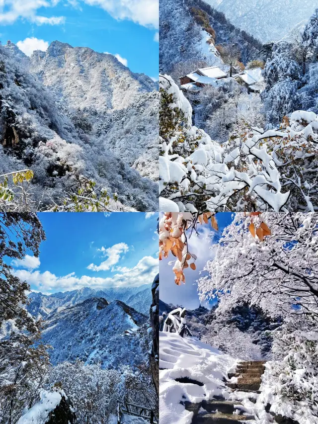 Jade Dust Waterfall, Qiong Branches Covering the Mountains! Come capture the winter-exclusive romance of Cuihua Mountain~