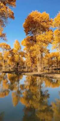 【新疆阿克蘇：穿越天山南麓的神奇寶藏】絕美景色、純正文化