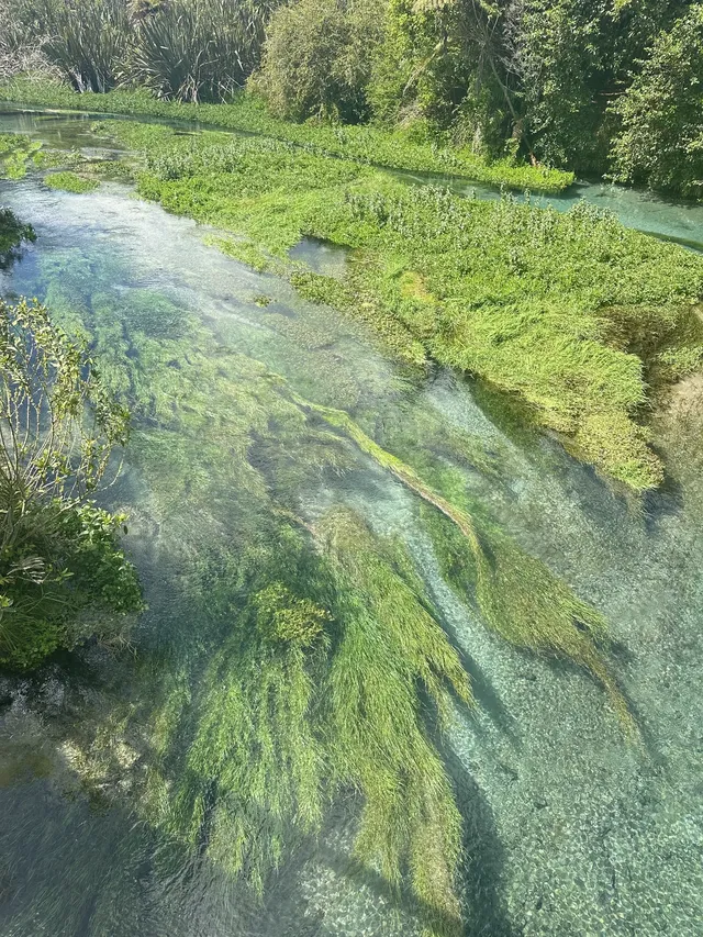 奧克蘭北島一日遊｜奧克蘭自然風景必打卡
