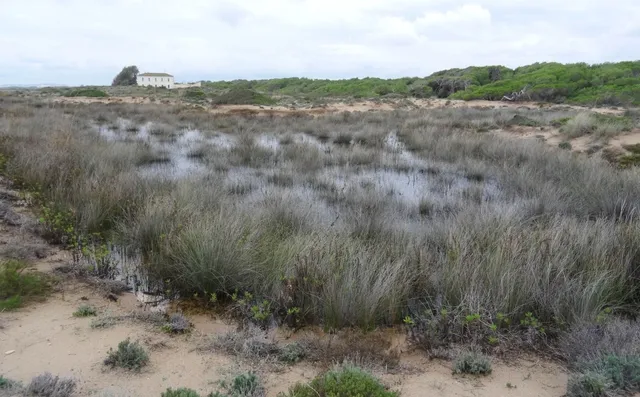 穿行阿爾布費拉自然公園，遇見自然本真