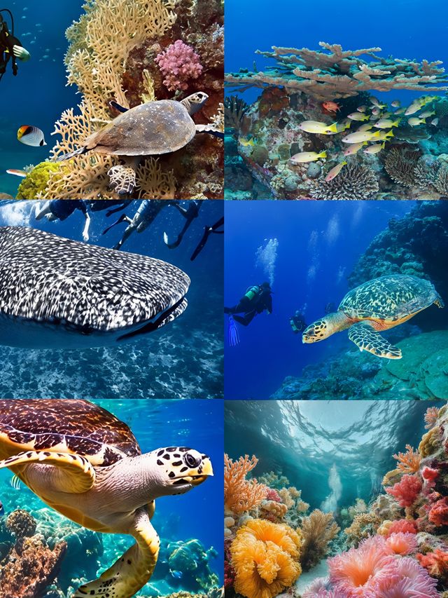 人間伊甸園！無需濾鏡！滿足了我對所有海島度假的想像！