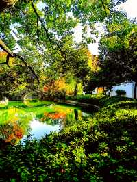 上海也有莫奈的花園