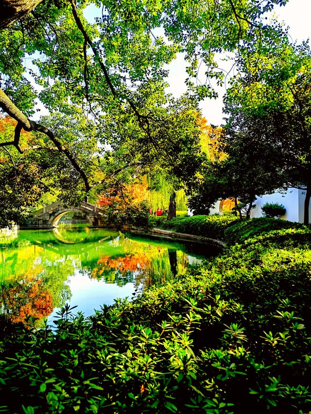 上海也有莫奈的花園 上海也有莫奈的花園