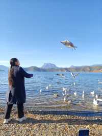 住進觀山海•湖畔，私藏瀘沽湖的山水畫卷