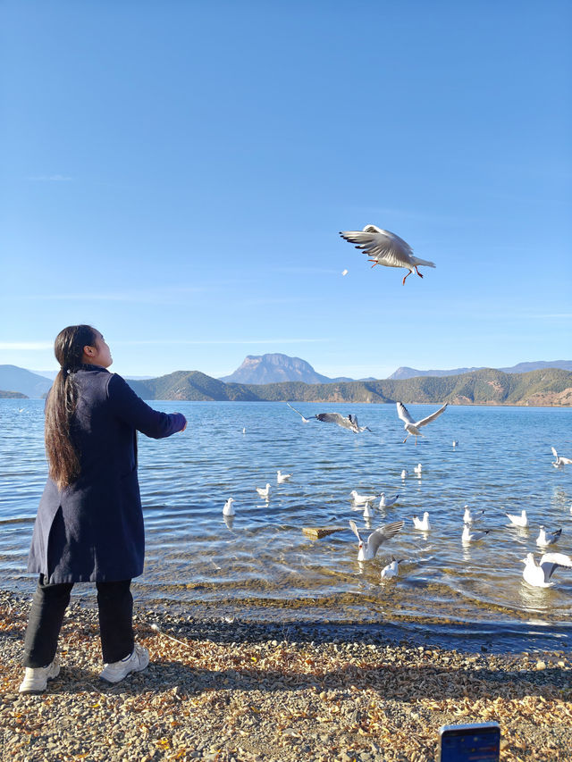 住進觀山海•湖畔，私藏瀘沽湖的山水畫卷