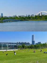 都市浪漫花海漫遊