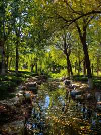 天津賞秋攻略｜這些地方才是秋天該有的樣子