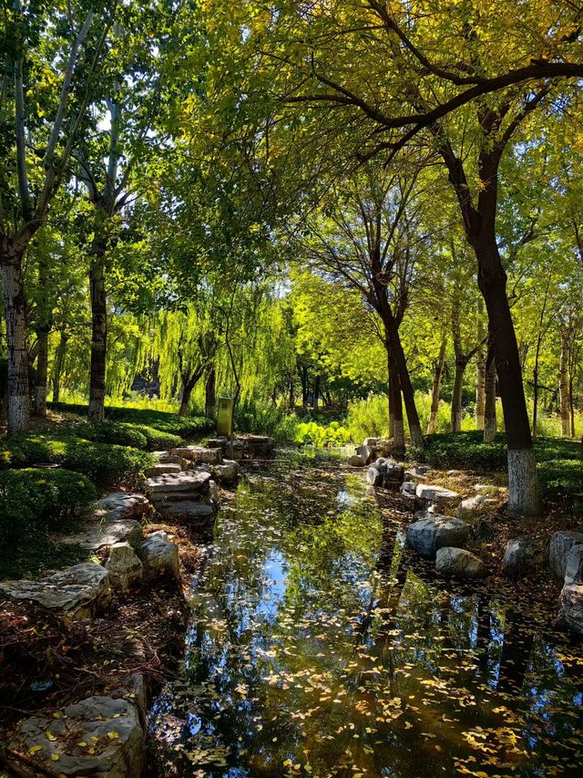 天津賞秋攻略｜這些地方才是秋天該有的樣子