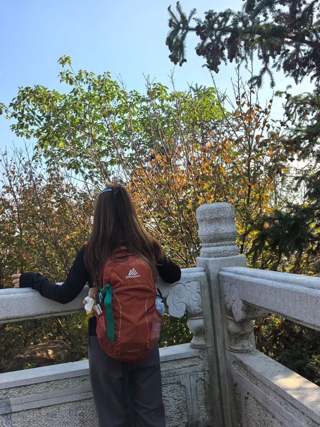 蘇州秋色這樣拍太絕了