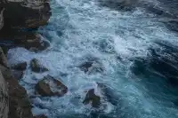 悉尼 | 從Little Bay到La Perouse