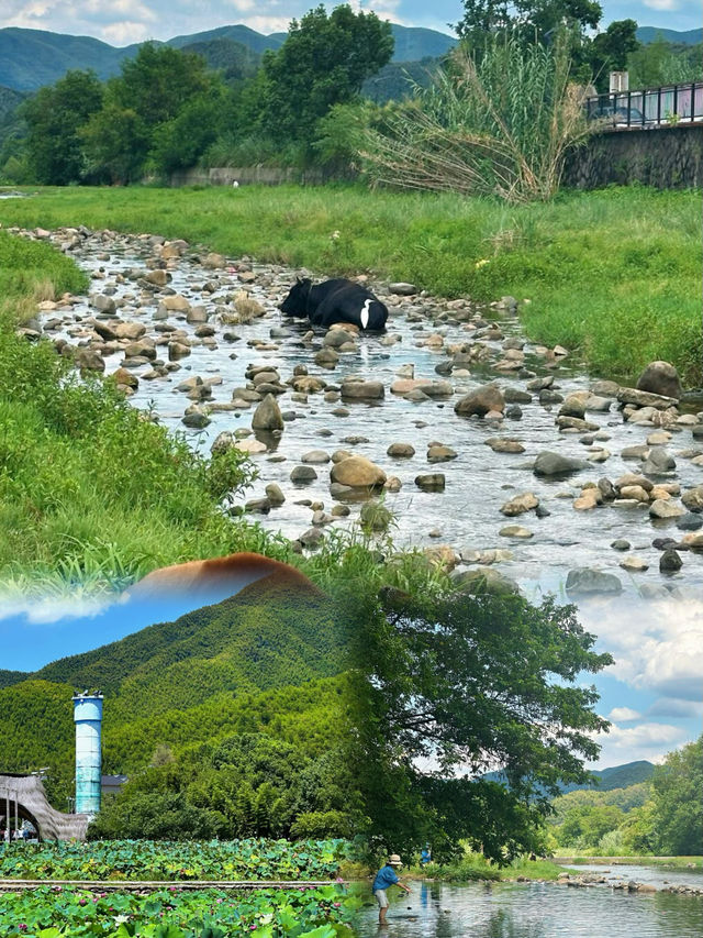 南京1小時直達阿勒泰,屬於江浙滬自己的寶藏秘境 南京1小時直達阿勒泰,屬於江浙滬自己的寶藏秘境