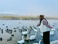 賽里木湖冬日限定粉色雪山