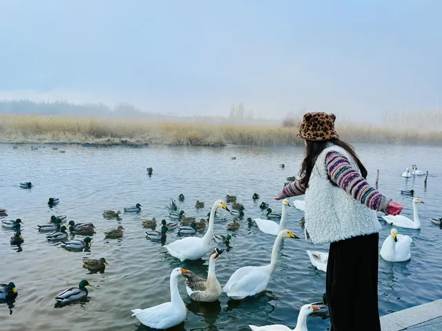 賽里木湖冬日限定粉色雪山 賽里木湖冬日限定粉色雪山