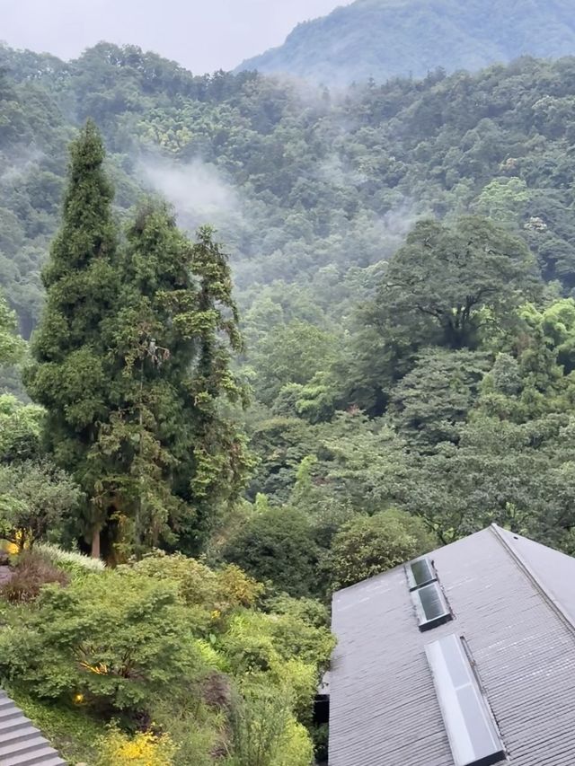 來峨眉山住進這家神仙民宿，隱於山林間的治癒系旅居體驗