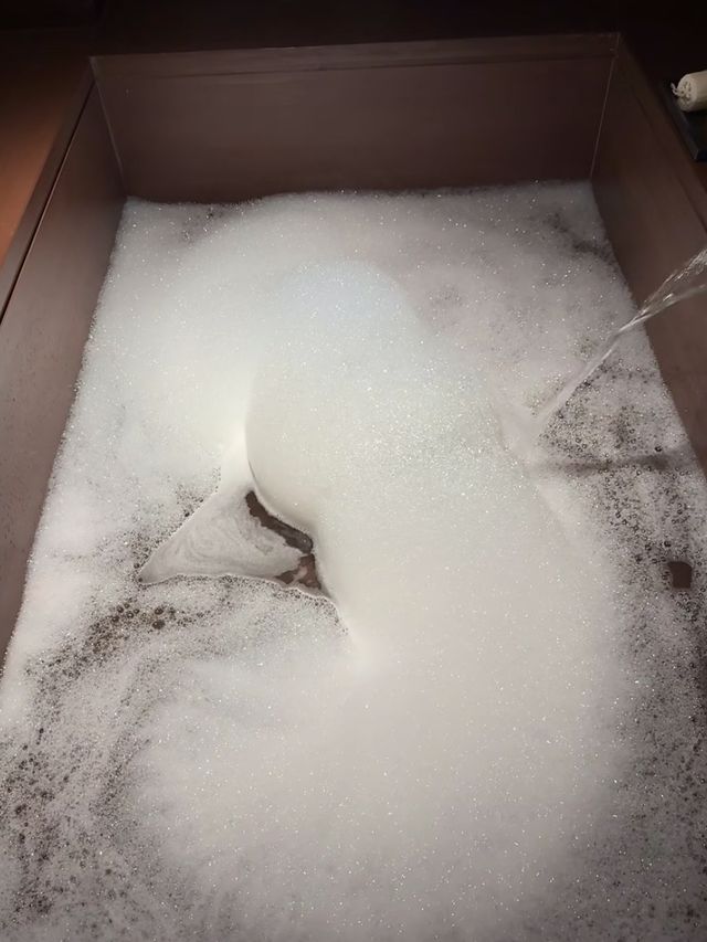 來峨眉山住進這家神仙民宿，隱於山林間的治癒系旅居體驗