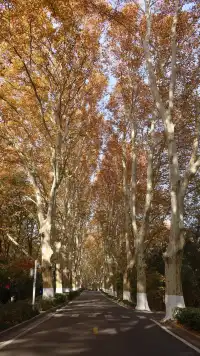 11.30植物園還是那麼有性價比 ＼(*T▽T*)／