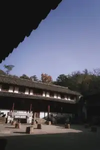 天台山藏了1400年的秘密,一草一木皆佛性