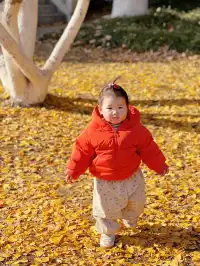 你是來拉屎的吧?!