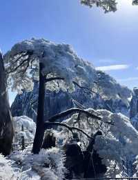 雲海仙境暴走指南黃山1日遊保姆級攻略! 地址:安徽省黃山市黃山區205國道 必去理由 五嶽