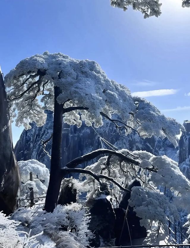 雲海仙境暴走指南黃山1日遊保姆級攻略! 地址:安徽省黃山市黃山區205國道 必去理由 五嶽 雲海仙境暴走指南黃山1日遊保姆級攻略! 地址:安徽省黃山市黃山區205國道 必去理由 五嶽