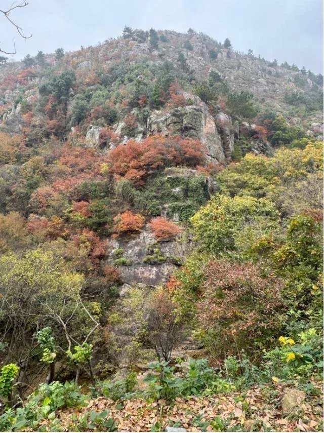 12.6-7合肥大巴出發，一起快樂徒步吧