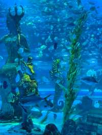 哈爾濱極地公園攻略筆記