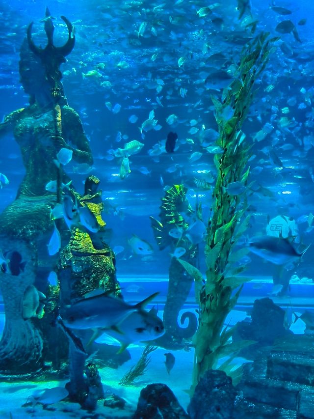 哈爾濱極地公園攻略筆記 哈爾濱極地公園攻略筆記