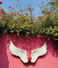 南寧青秀山旅遊拍照打卡地