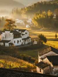 塔川秋季親子遊|紅葉古村+周邊打卡全攻略