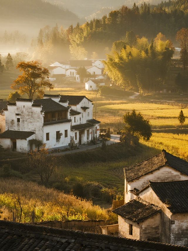 塔川秋季親子遊|紅葉古村+周邊打卡全攻略 塔川秋季親子遊|紅葉古村+周邊打卡全攻略