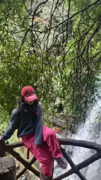 【成都天台山手記|與螢火一起登頂的初夏】