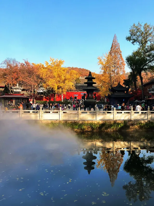 南京棲霞山親子遊|2歲娃解鎖紅葉仙境攻略 南京棲霞山親子遊|2歲娃解鎖紅葉仙境攻略