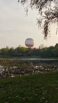 此時，武漢東湖美得不像話免費停車！