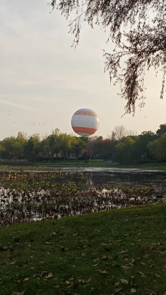 此時，武漢東湖美得不像話免費停車！
