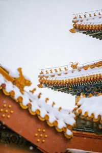 瀋陽故宮的雪太絕了!冬日限定版紅牆白雪,美到窒息!