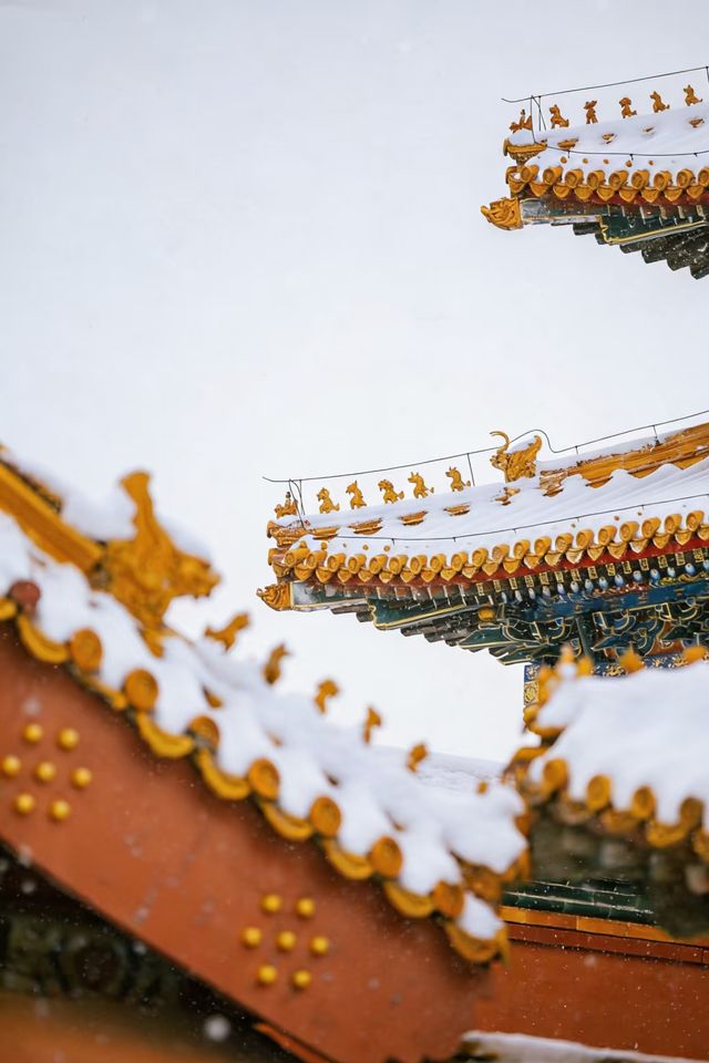 瀋陽故宮的雪太絕了!冬日限定版紅牆白雪,美到窒息! 瀋陽故宮的雪太絕了!冬日限定版紅牆白雪,美到窒息!