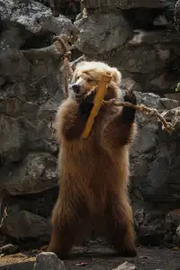 上海動物園‖動物攝影師的天堂
