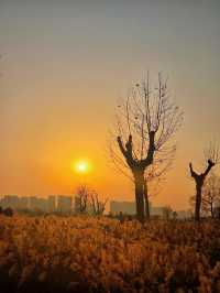 漢風起兮城 長安未央宮