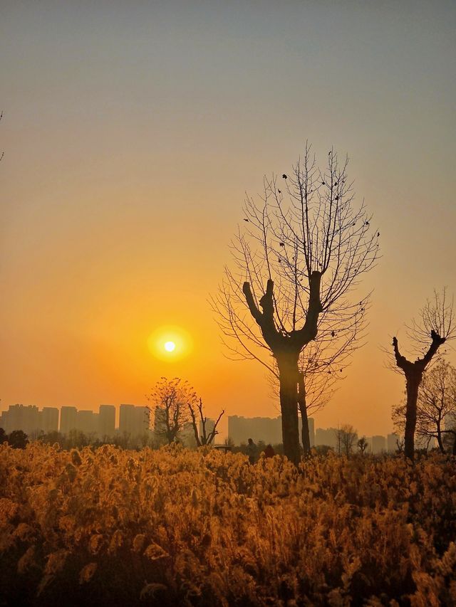 漢風起兮城 長安未央宮 漢風起兮城 長安未央宮