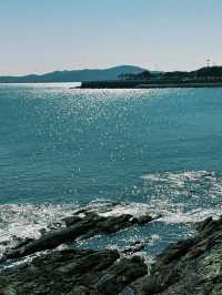 青島地鐵遊保姆級攻略坐著地鐵逛遍青島!