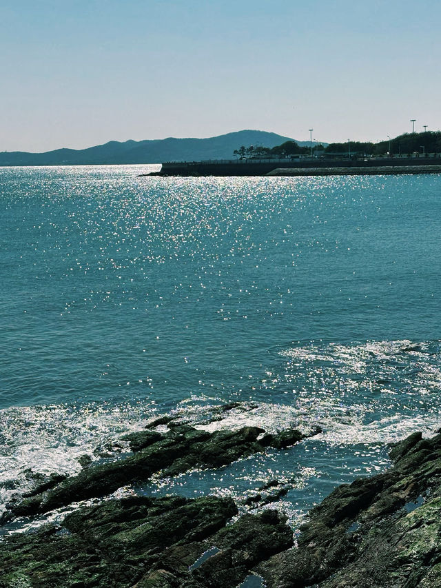 青島地鐵遊保姆級攻略坐著地鐵逛遍青島! 青島地鐵遊保姆級攻略坐著地鐵逛遍青島!